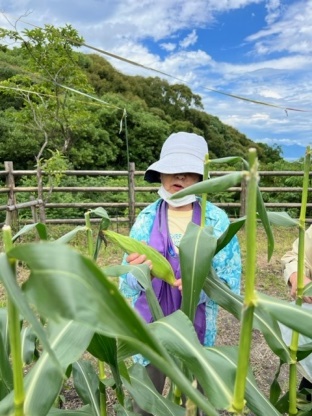 写真があります。