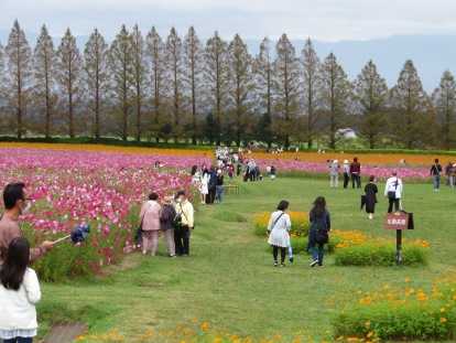写真があります。